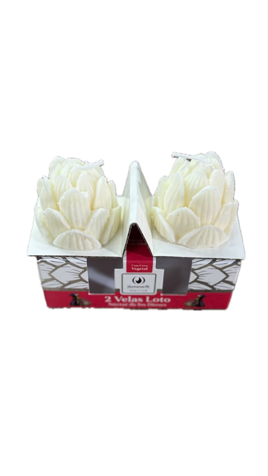 CAJA VELA LOTO