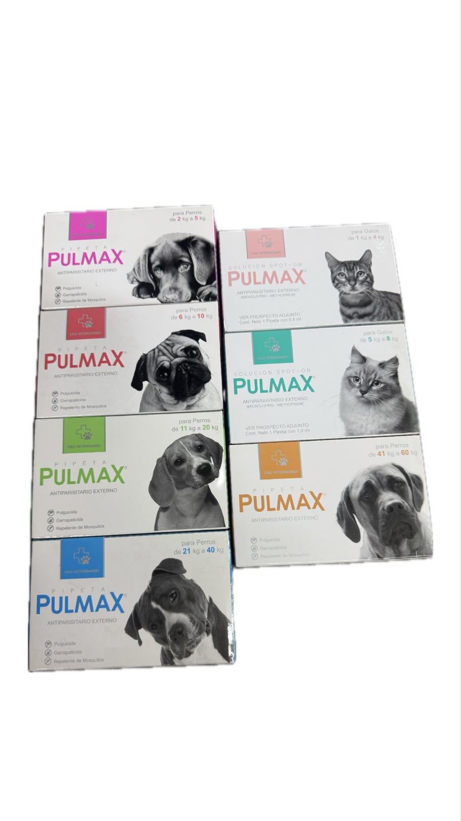 PIPETA  PULMAX